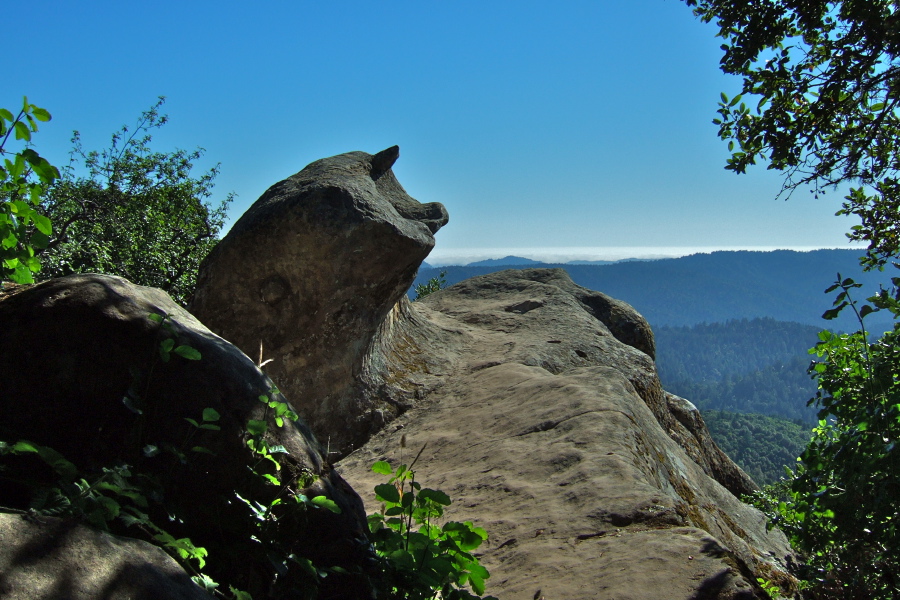 Sculpted rock