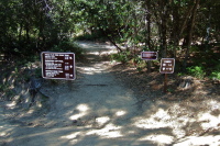 Trail Camp junction