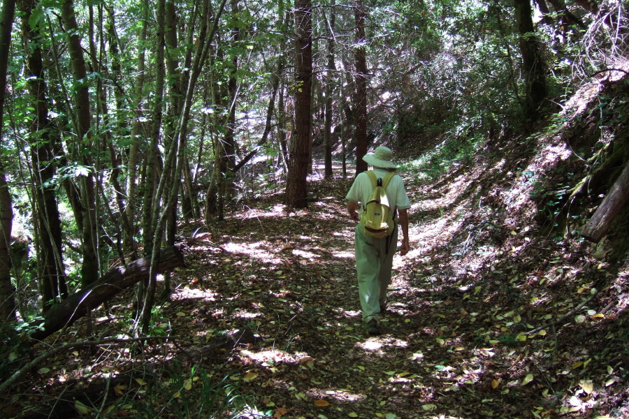 On the Travertine Springs Trail