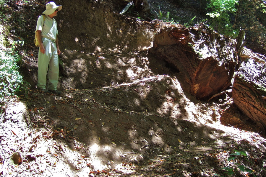 Several short, steep switchbacks descend to the crossing of the San Lorenzo River