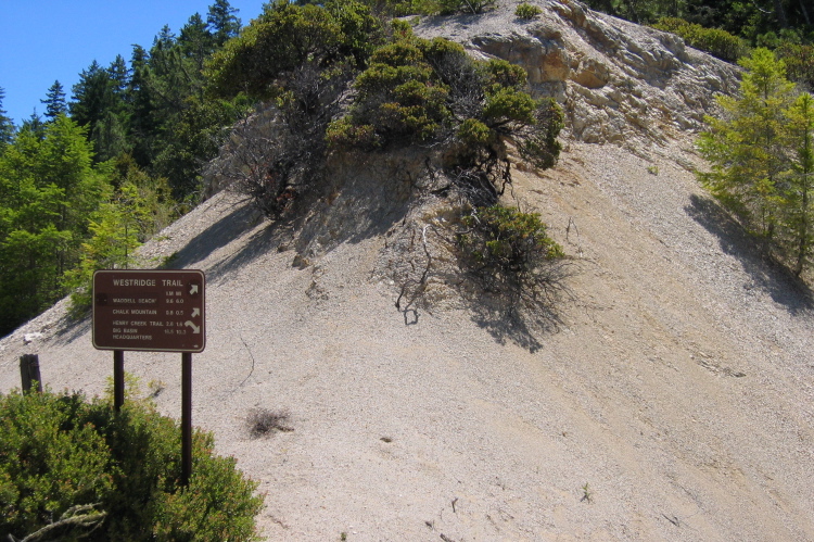 Start of Westridge Trail. (1200ft)