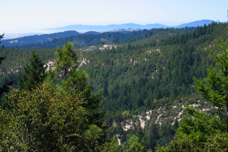 San Mateo County coast from Chalks Ridge. (1560ft)