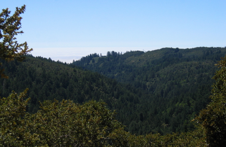 View down Whitehouse Canyon from Chalk Mountain Rd. (1160ft)