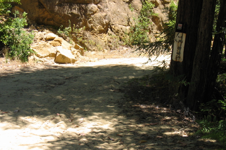 Sand pit that looks like sandstone when damp. (1320ft)