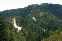 The hills and dips of Chalk Mountain Rd. along Chalks Ridge (1310ft)
