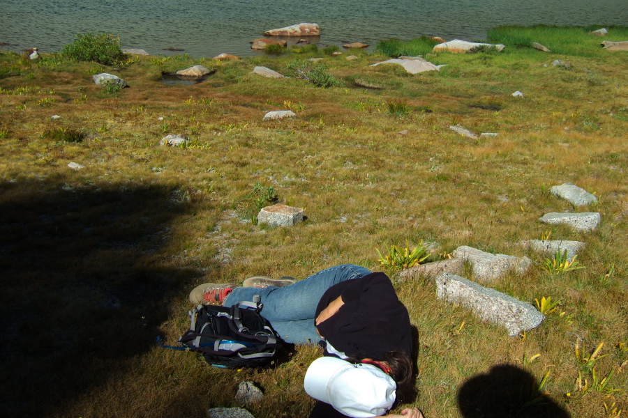 Stella takes a second nap at upper Chocolate Lake.