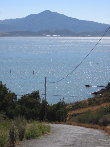 Steep road to Point San Pablo Yacht Harbor; Mt. Tamalpais in the background.