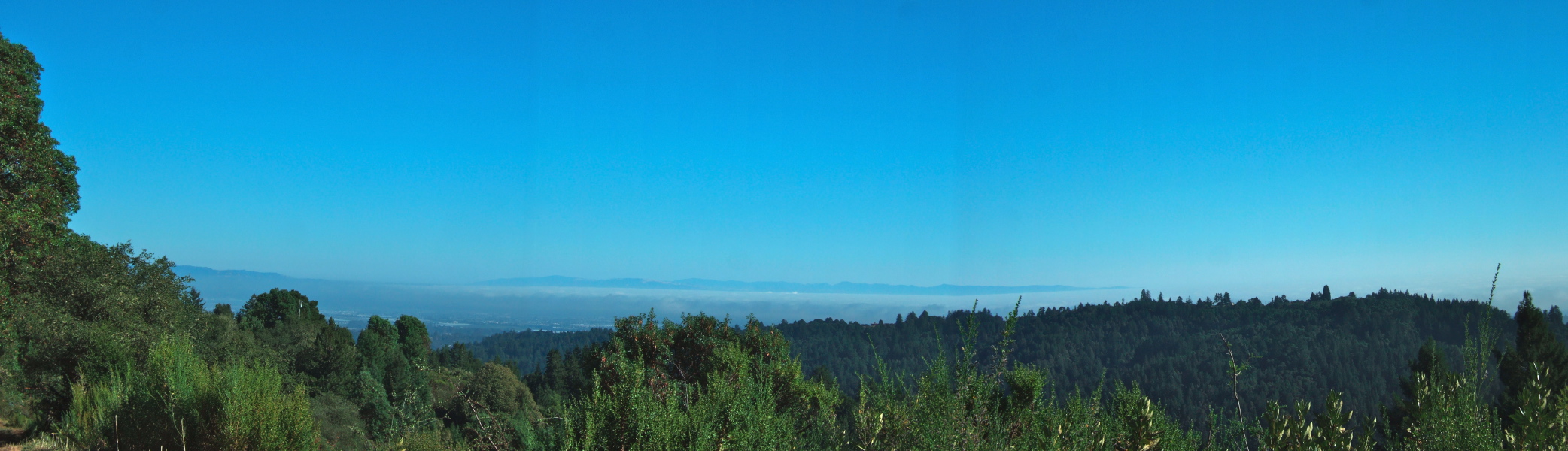 View toward Watsonville from Buzzard Lagoon Road