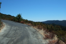 Loma Prieta Way climbs out of the trees and into a hotter, drier area