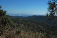 View of Watsonville and fog over Monterey Bay from Loma Prieta Way