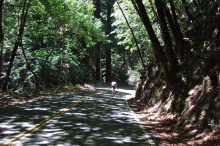 Climbing Old Santa Cruz Highway