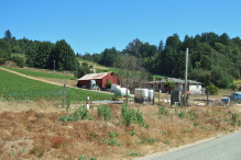 Passing a farm on Browns Valley Road