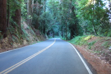 Descending Old Santa Cruz Highway
