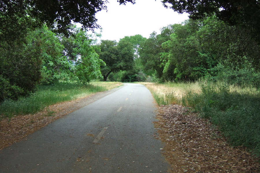 Coyote Creek Trail south of Hellyer Park