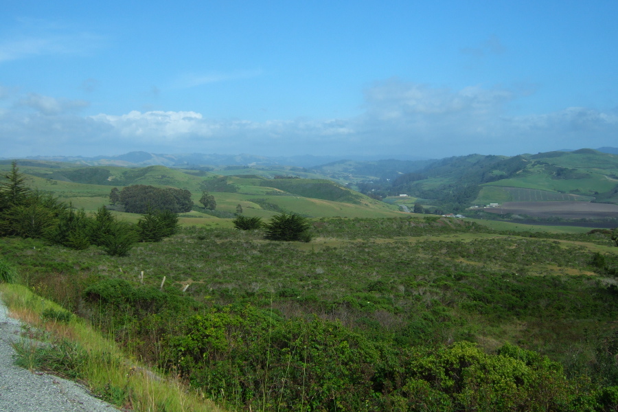 San Gregorio valley from Stage Road