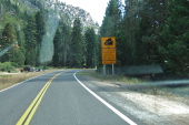Approaching the west side of Sonora Pass.