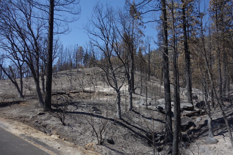 Just about everything was burned the closer we got to Tuolumne River west of Yosemite.