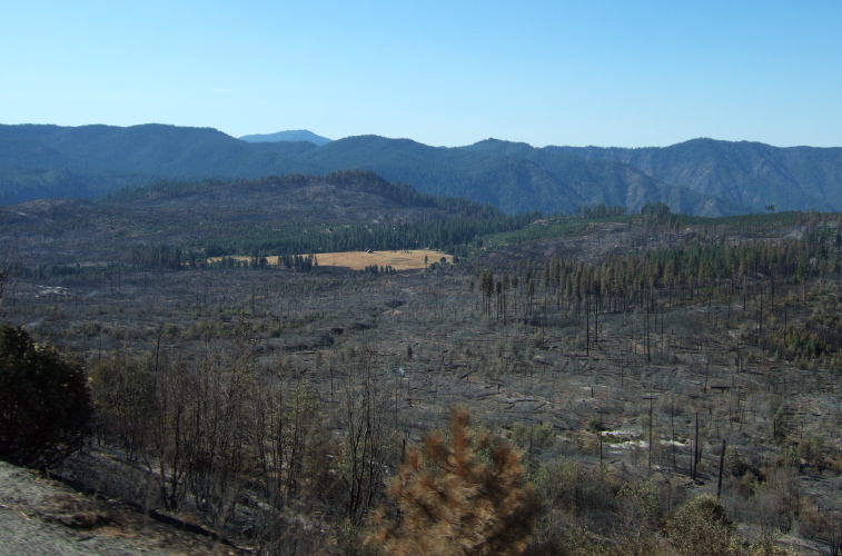 The Big Meadow and aftermath of the Big Meadow Fire.