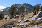 Pack train heading east near Duck Pass.