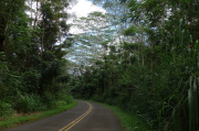 Driving up Kuamo'o Road