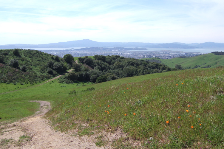 Looking down the steep grade on the Mezue Trail.