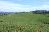 View south along San Pablo Ridge.