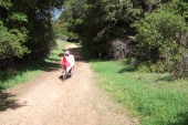 Ron Bobb rides up the MacDonald Trail, Chabot Park.