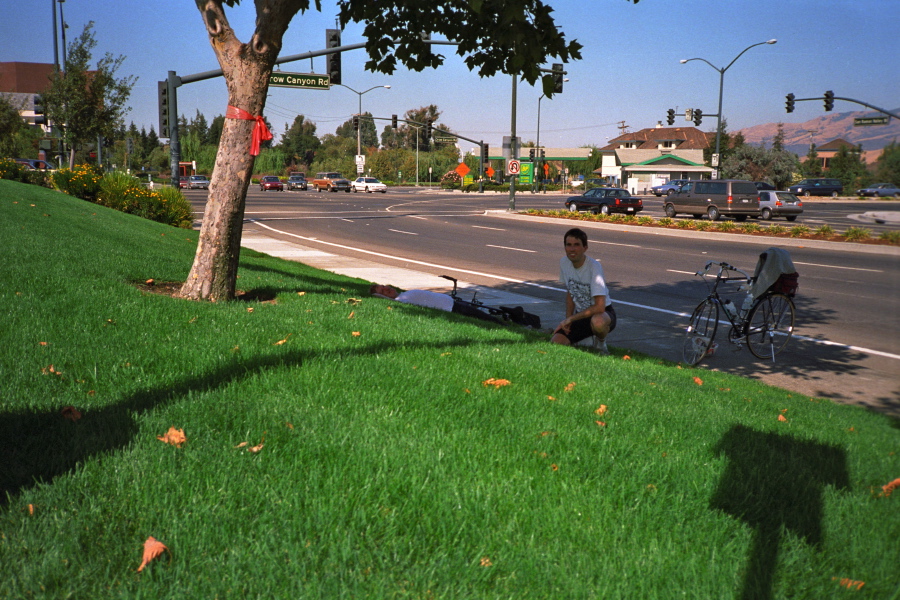 Resting on a very green lawn at Crow Canyon Rd. and San Ramon Valley Rd.