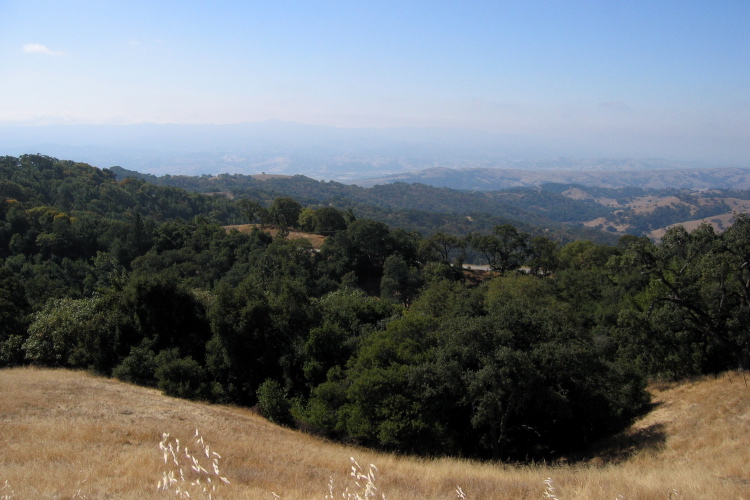 View west from the top of Samson Ridge. (2510ft)