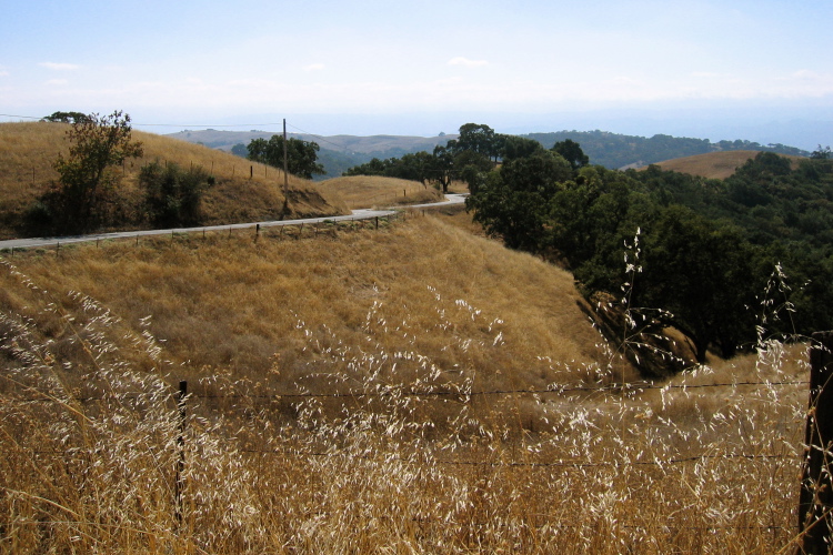 View down the road. (2490ft)