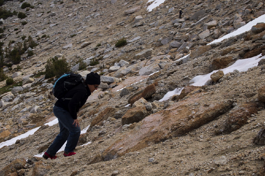 Stella finds climbing easier off the snow.