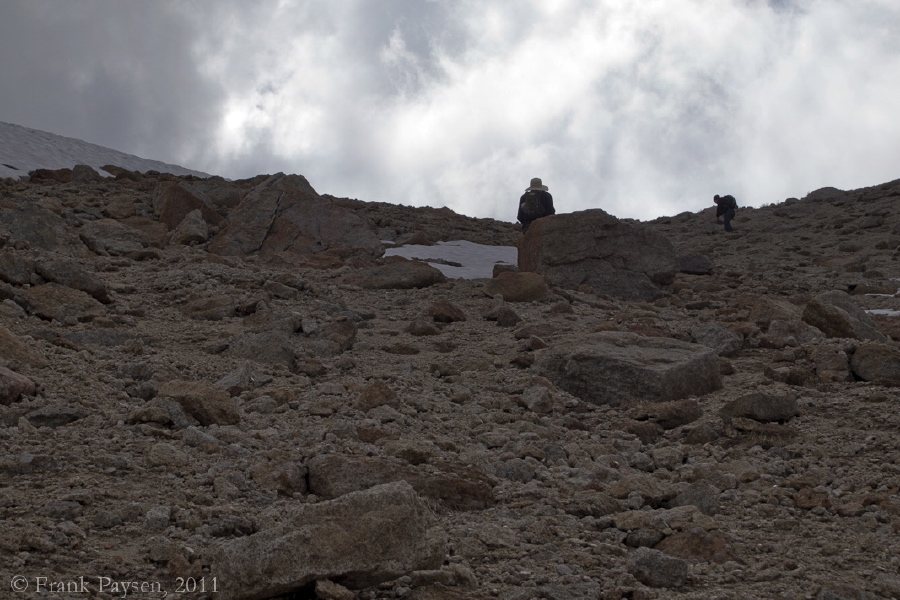 Stella leads the way to the top, while Bill follows.