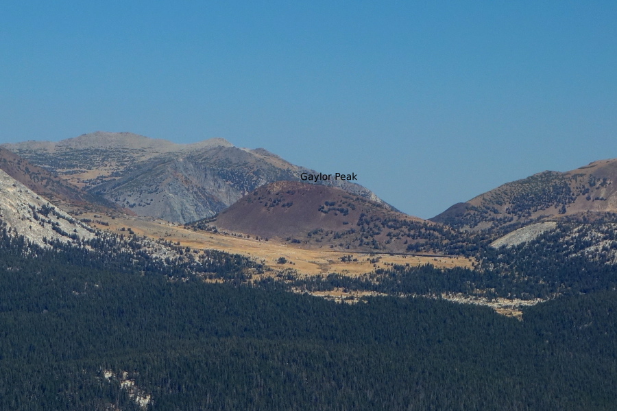 Gaylor Peak looks insignificant from here.