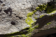 Green and brown lichen cling to the rock.