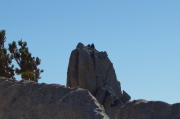 Two climbers reach the summit of Eichorn Pinnacle.