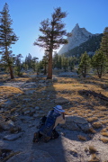 Frank snaps a last photo of Cathedral Peak and a back-lit tree.