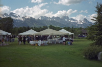 Wedding party and scenery (1)