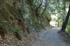 Gordon Mill Trail passes some sandstone cliffs.