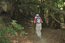 Bill plods up the Steam Donkey Trail.