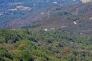 A helicopter flies low over Priest Rock Trail.