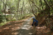 On the lower reach of Limekiln Trail