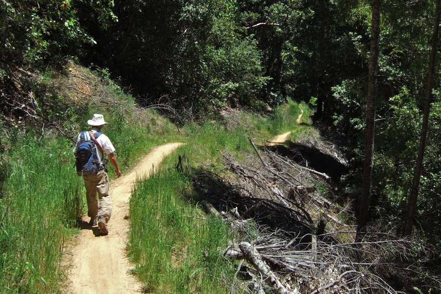 Frank on the Giant Salamander Trail