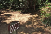 Junction of North Leaf Trail and Methuselah Trail