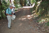 David and Frank descend the Methuselah Trail.