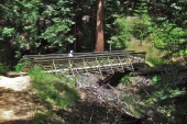 Frank crosses the large bridge on the Giant Salamander Trail.