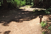 Junction of Giant Salamander Trail and Timberview Trail