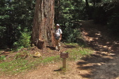 Frank at the Junction of Timberview and Crosscut Trails