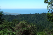 View across Star Hill Ridge toward the Pacific Ocean west of Martin's Beach