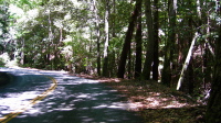 Climbing Jamison Creek Rd., the first steep hairpin (1160ft)