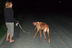 Kumba on his night walk